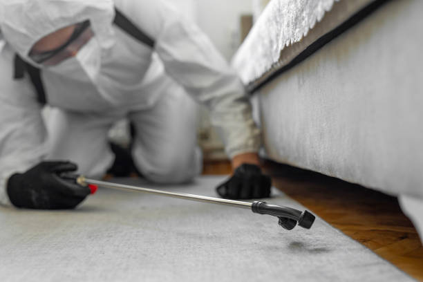 Professional Bed Bug Control technician working in Tok, AK